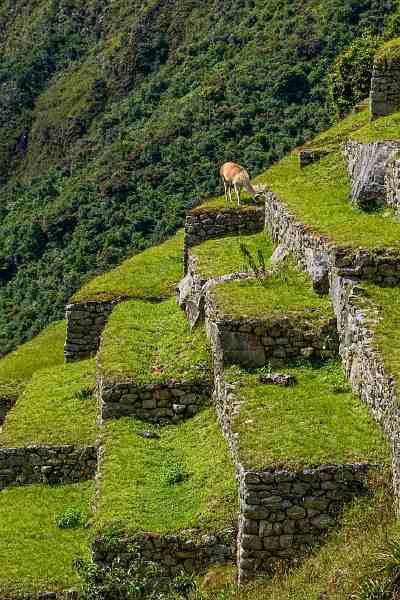 096_Fotoclub Merchtem_Herman Van den Broeck_Op eenzame hoogte Machu Picchu
